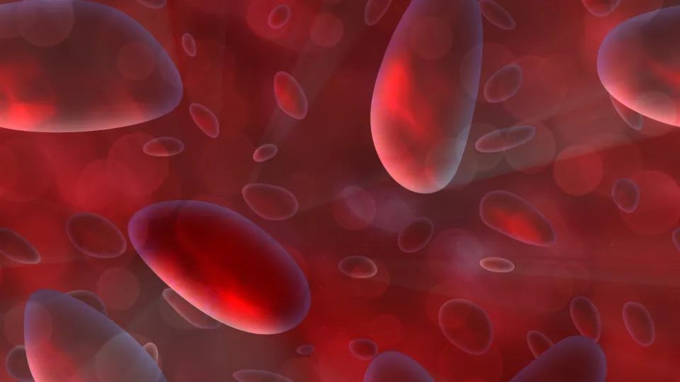Röda blodkroppar mikroskopiska strömmar i kroppen
