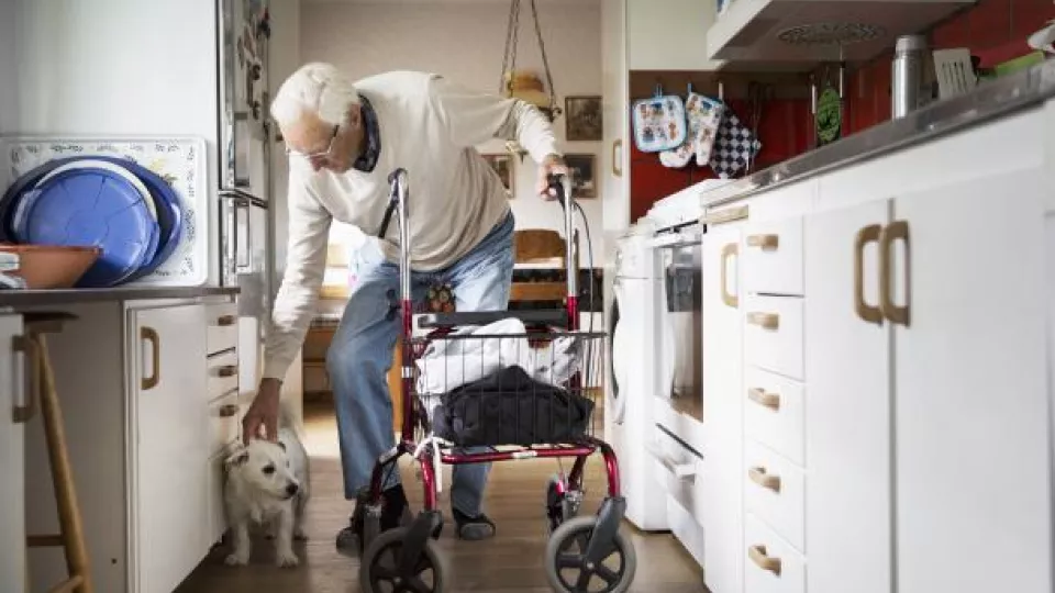 Äldre man, med hund står i ett kök hemma.