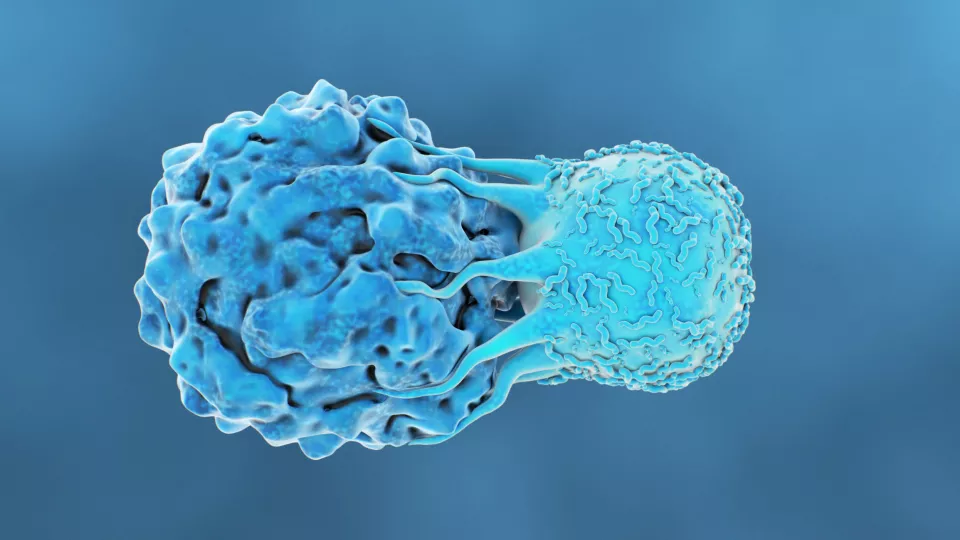 t-cellsattack på cancercell. illustration.
