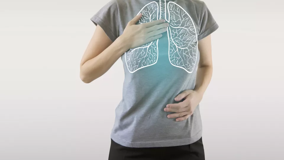 illustration av lungor. foto.