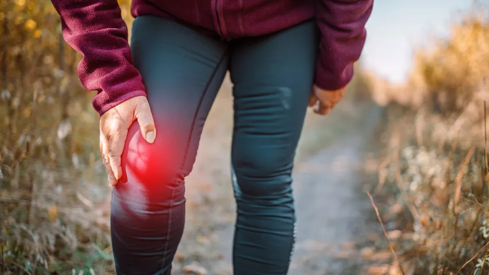 Cirka var fjärde person över 45 år i Sverige har artros. Det är vår vanligaste ledsjukdom som ofta drabbar knän och höfter och innebär smärta och nedsatt rörlighet.Foto.