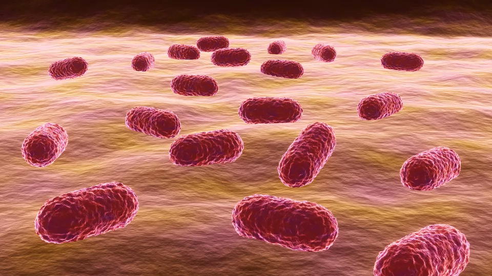bild på bakterier som är resistenta mot antibiotika. illustration.