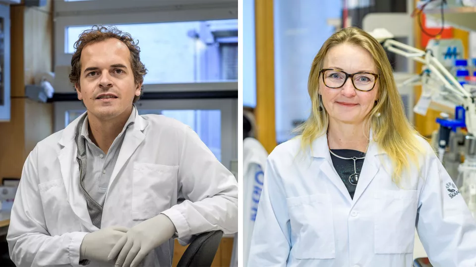 Forskarna Filipe Pereira och Charlotte Ling är två av totalt 90 europeiska forskare som får ERC Proof of Concept-anslag för att utveckla sina forskningsprojekt för klinisk användning och kommersialisering. Foto.
