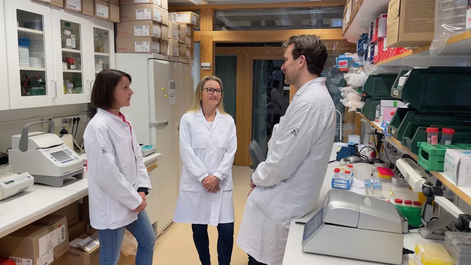 forskarna Tina Rönn, Charlotte Ling och Karl Bacos i labbet. foto.