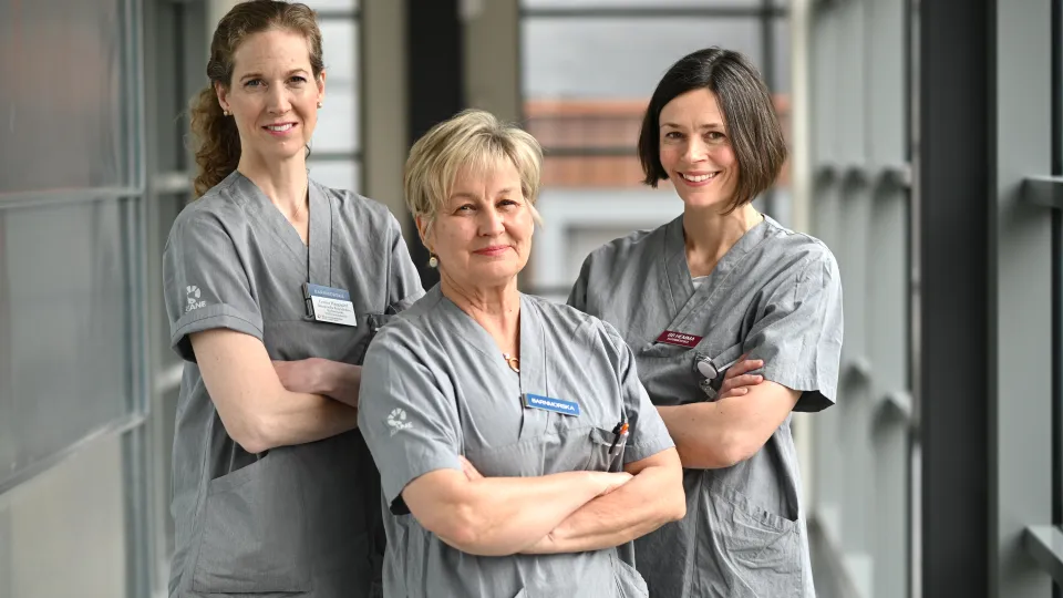 Cecilia Häggsgård, Christine Rubertsson och Eva Åsman. foto.