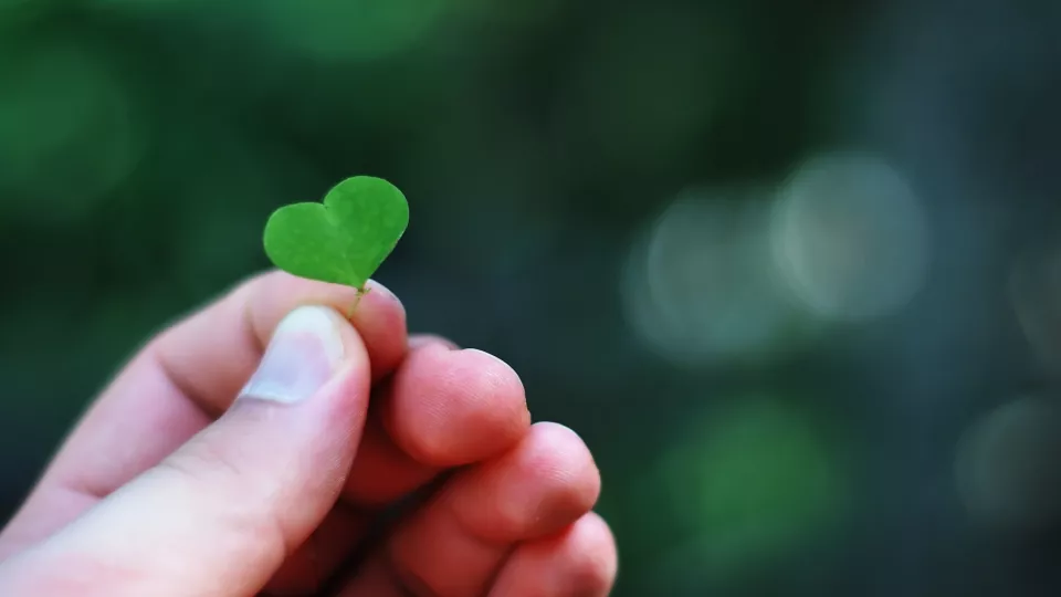 Foto: ett grönt blad i form av ett hjärta hålls mellan två fingrar
