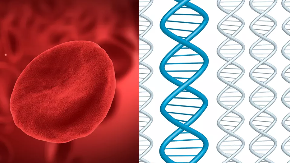 bild på blod och gen