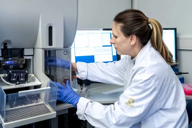 Scientist using one of the FACS machines at the StemTherapy FACS Core Facility. Photo.