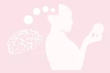 En person håller ett äpple och tänker på hjärnan. Illustration. 
