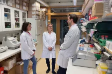 forskarna Tina Rönn, Charlotte Ling och Karl Bacos i labbet. foto.