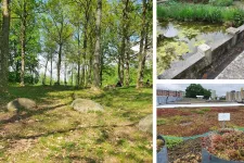 Three photos: one of a forrest, one of a green roof and one of a duct. Photo collage.