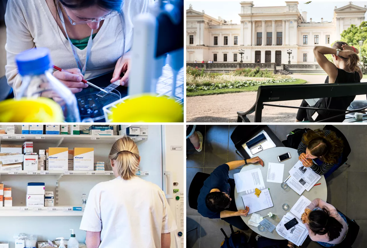 Bilder av forskning, studier och arbete i hälso- och sjukvården. Fotocollage.