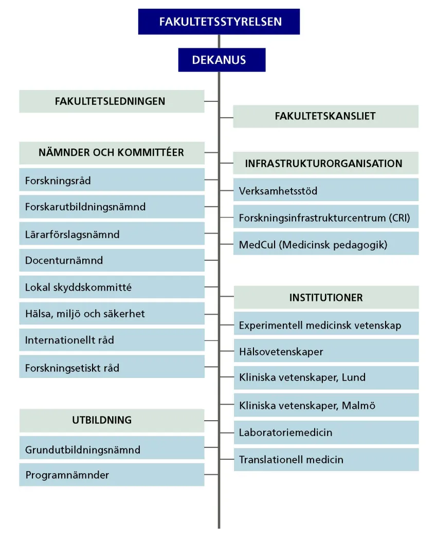 Organisationsschema för Medicinska fakulteten.