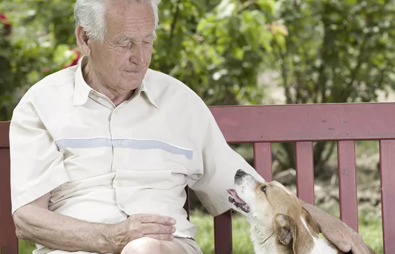 Äldre man med en hund på en parkbänk. Foto.