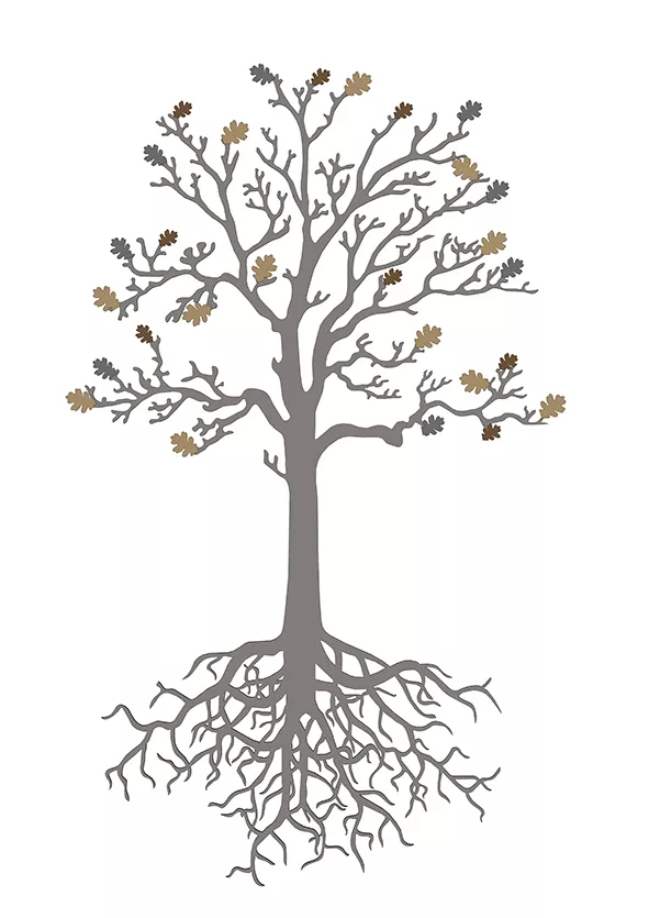 Donationsträd där givare får sitt namn graverat på ett blad. Illustration.