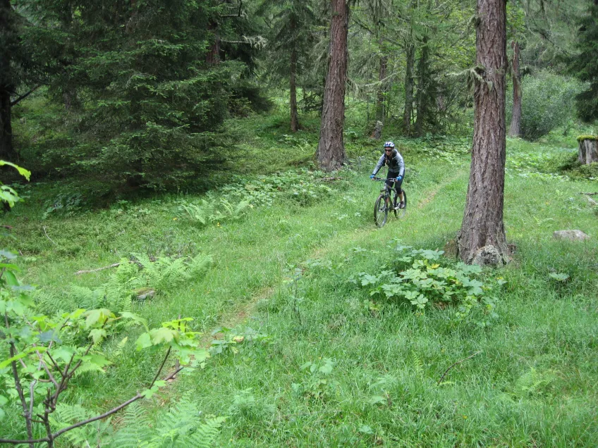 cyklist som cyklar på skogsstig